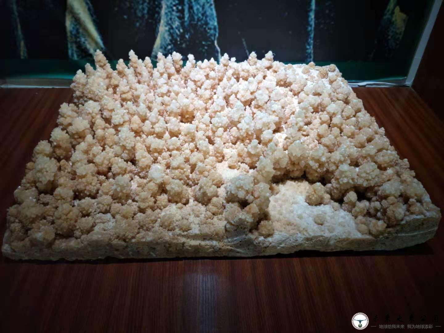 溶洞中的爆米花——石花|科普之窗|未来也来公园|石林喀斯特地质科研博物馆