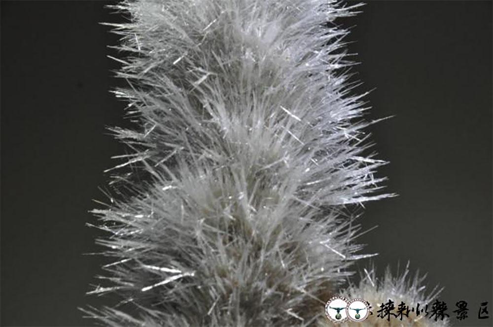 针晶图片,半夏针晶显微镜图片,草酸钙针晶束显微图(第14页)_大山谷图库
